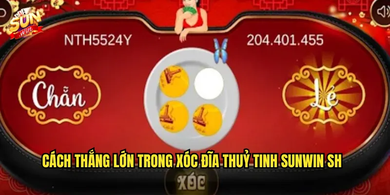 Cách thắng lớn trong Xóc Đĩa Thuỷ Tinh Sunwin sh